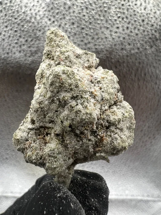 Snow White THCA Snowcaps product image